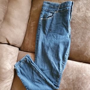 Torrid Skinny Jean
